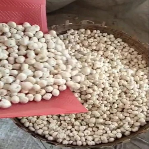 Mix Phool Makhana